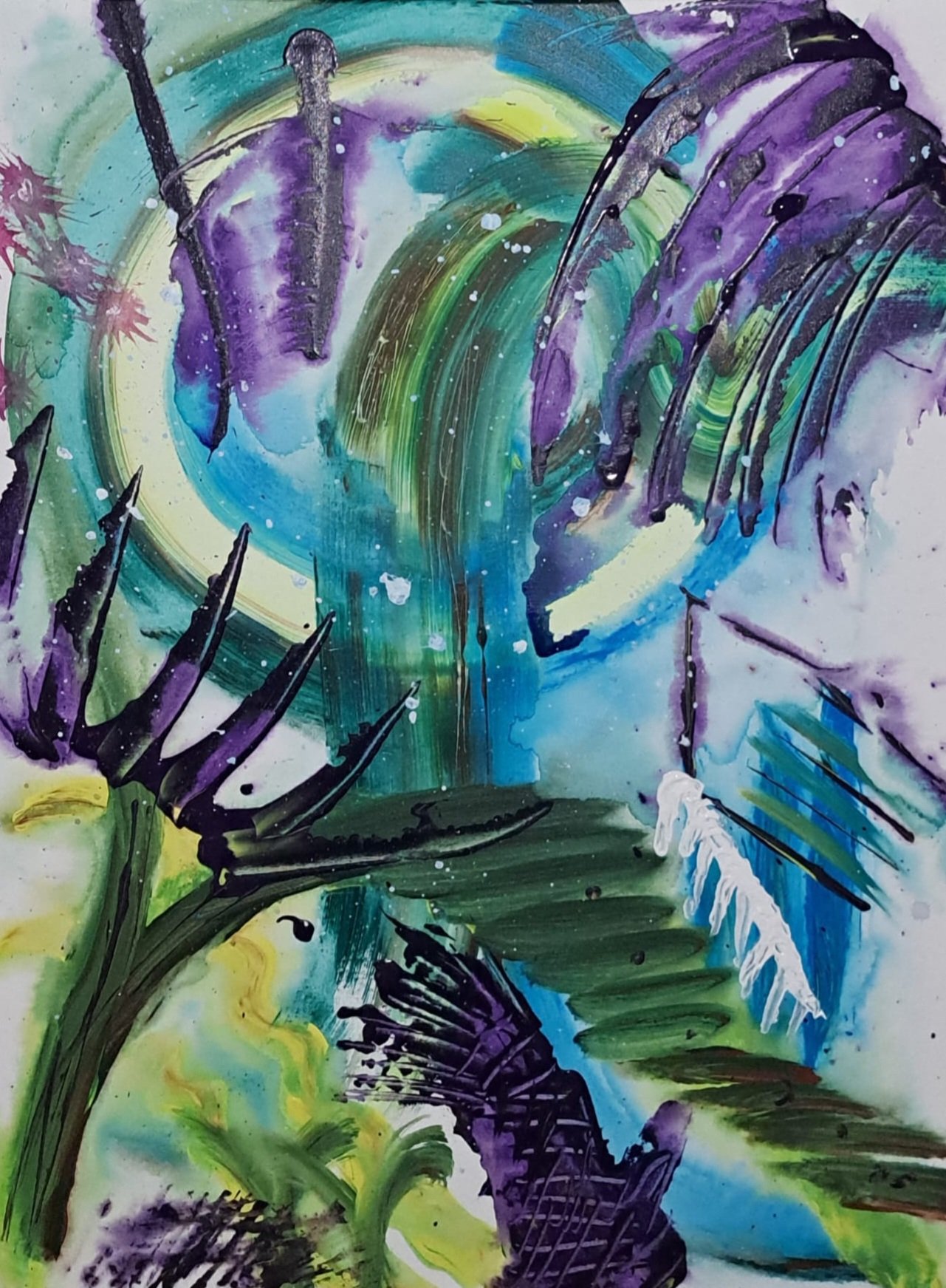 N.Madeira IMG 20250924 WA0041