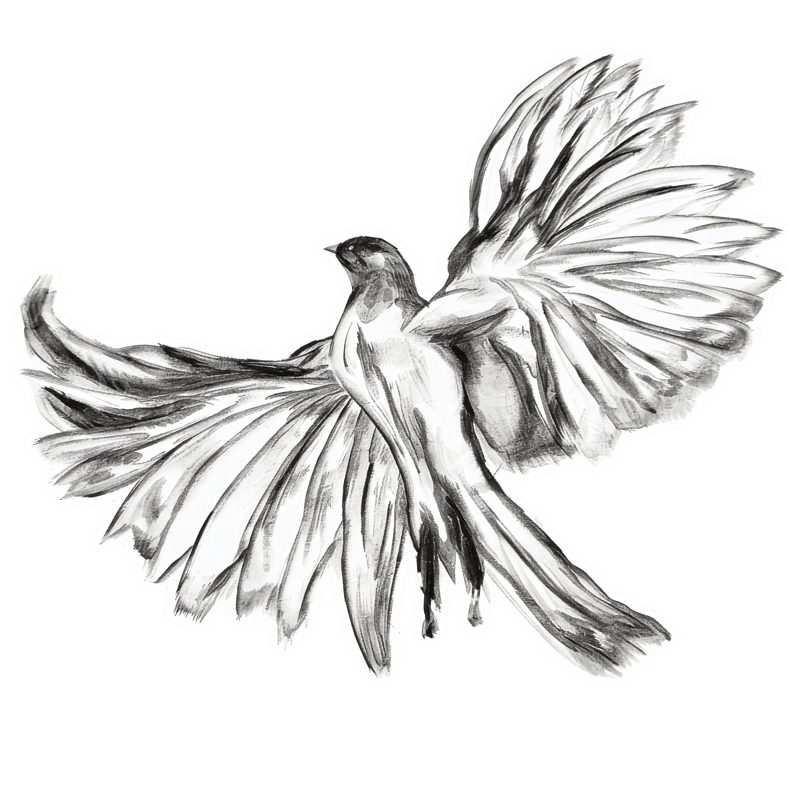 freepik turn the rest of the background black in img1 no o 88434