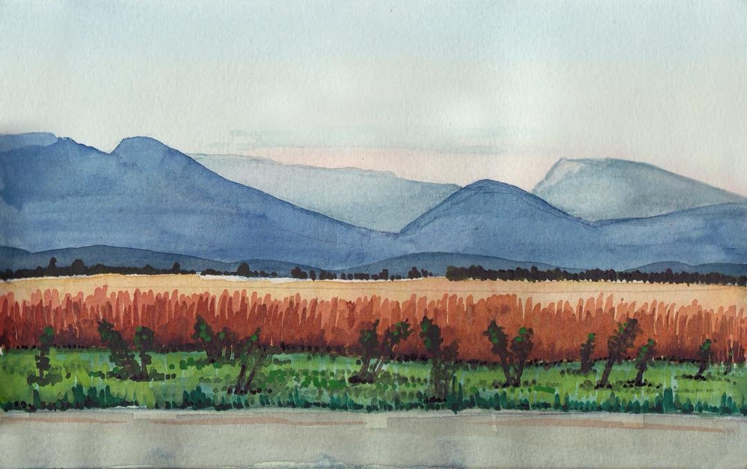 SnapInstato 15034637 278841685850087 755501205681078272 N